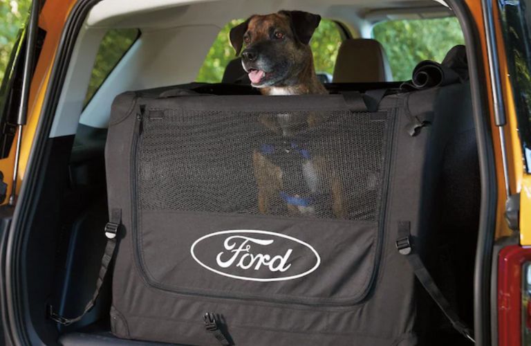 pet kennel of a Ford